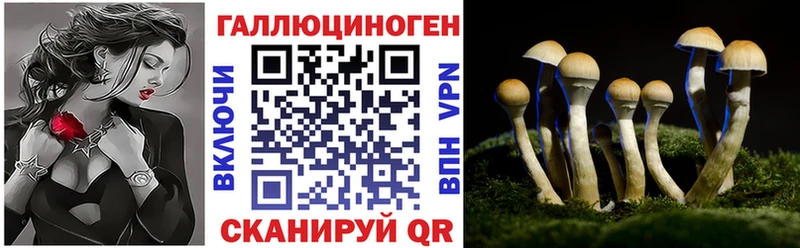 мега зеркало  Кисловодск  Псилоцибиновые грибы MAGIC MUSHROOMS 
