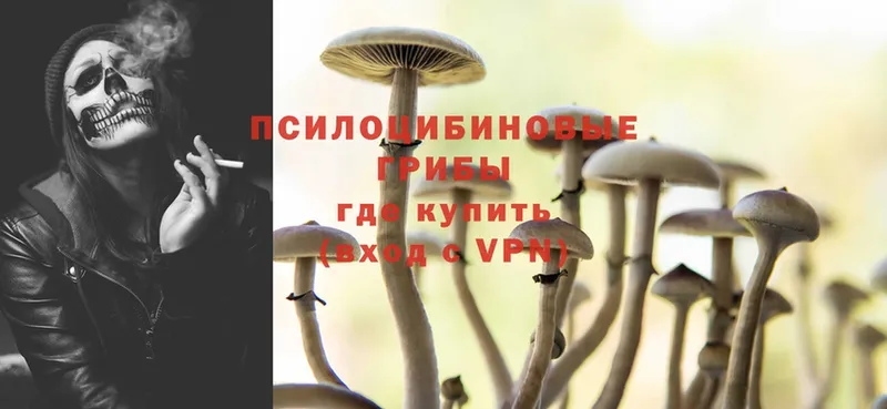 Галлюциногенные грибы Cubensis Кисловодск