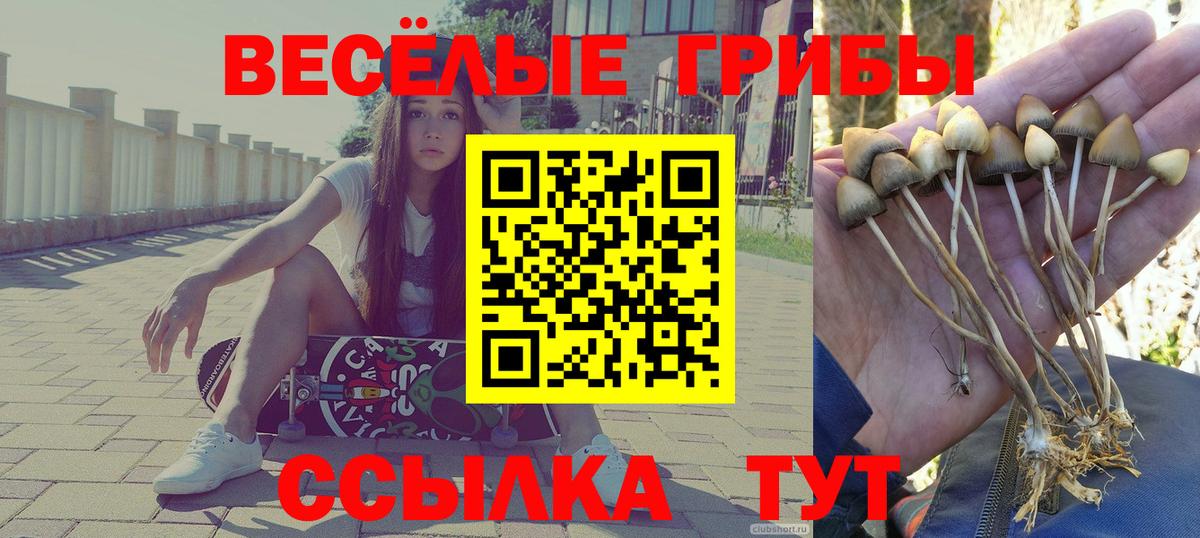 Псилоцибиновые грибы ЛСД  Псилоцибиновые грибы прущие грибы  Вход с VPN  Кисловодск 