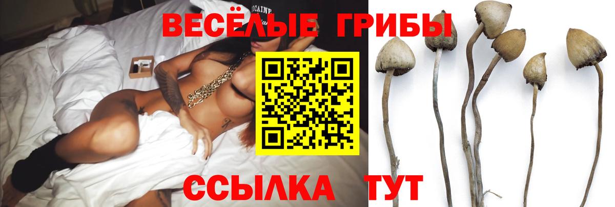 Галлюциногенные грибы Magic Shrooms Кисловодск